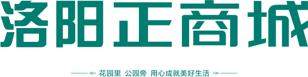 洛阳BB电子城